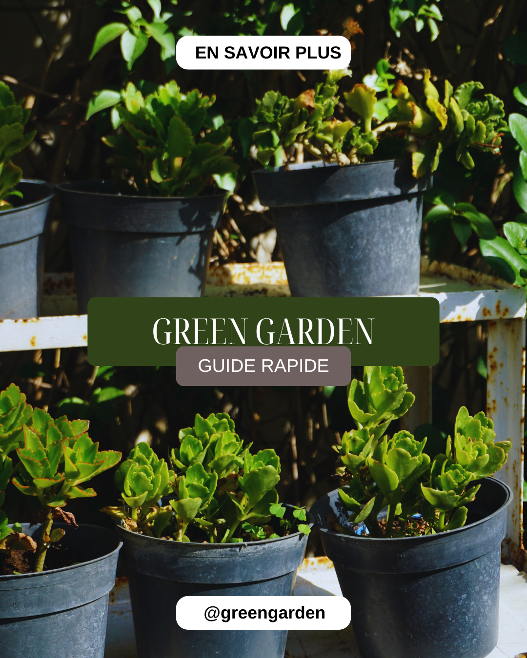 Réalisation d'un promotionnel — Green Garden